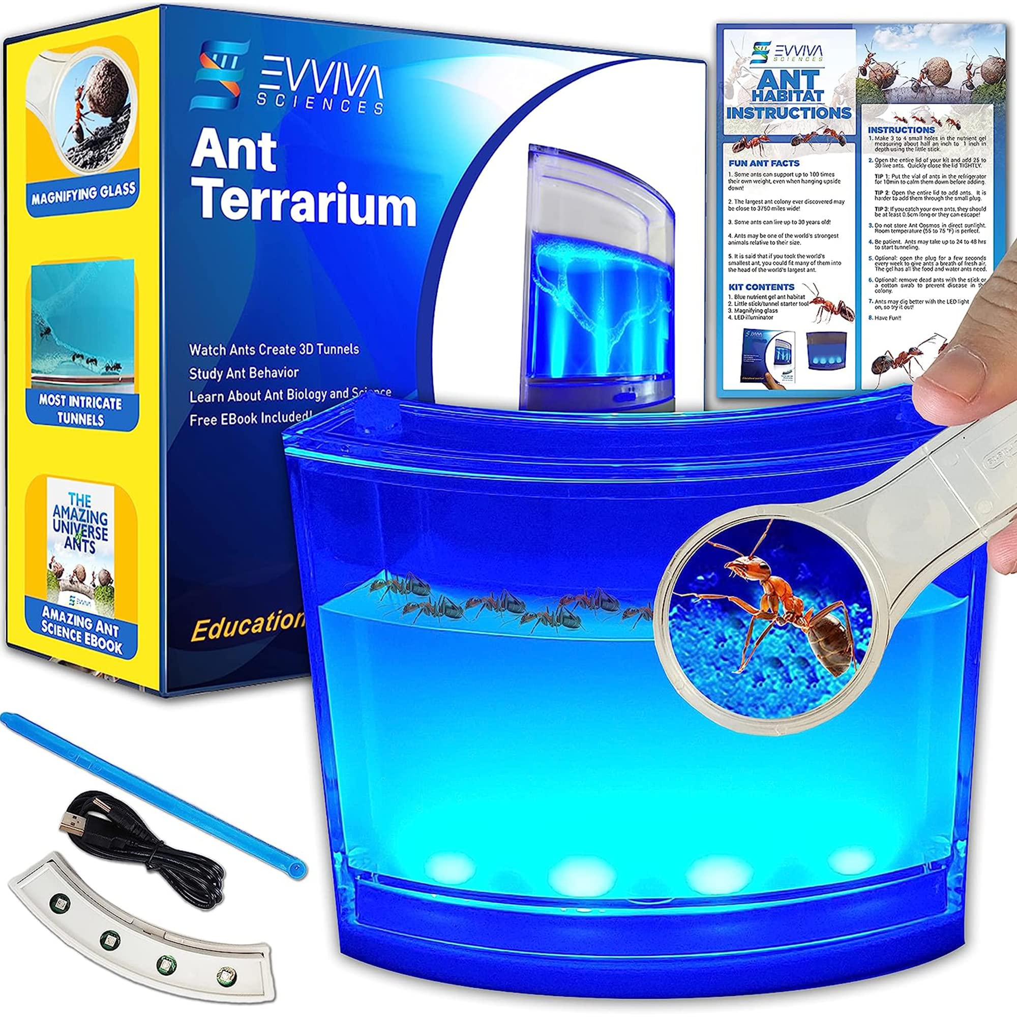 Evviva Ant Habitat with LED base for bright, engaging science play.