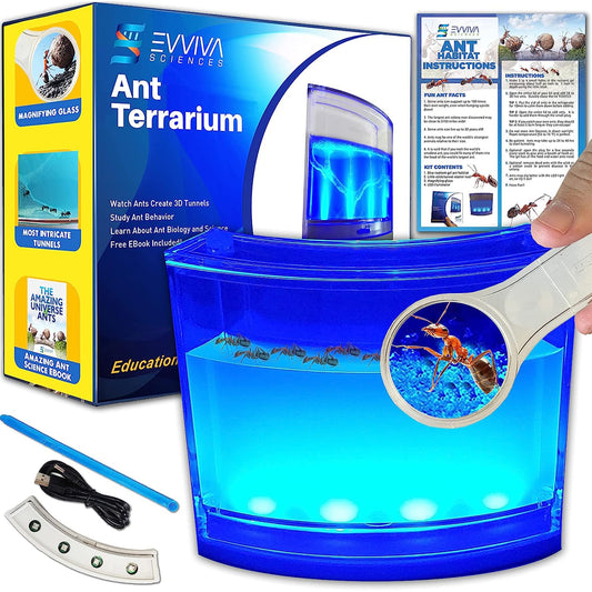 Evviva Ant Habitat with LED base for bright, engaging science play.