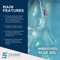 Close-up of Evviva ant tunnels within the gel habitat.