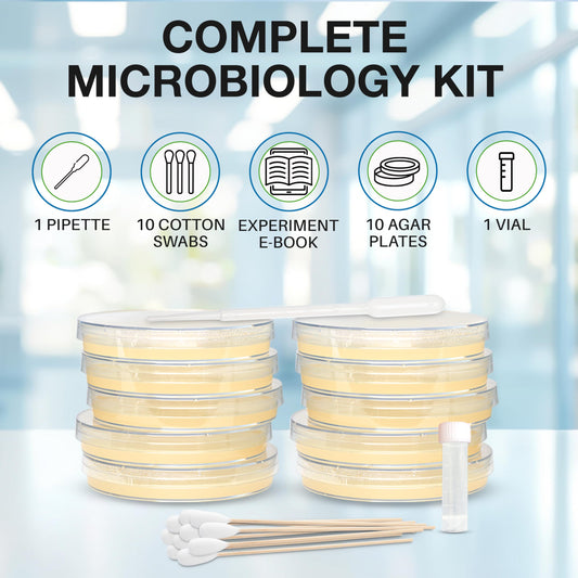 Evviva Sciences pipette enables precise, beginner-friendly experiments