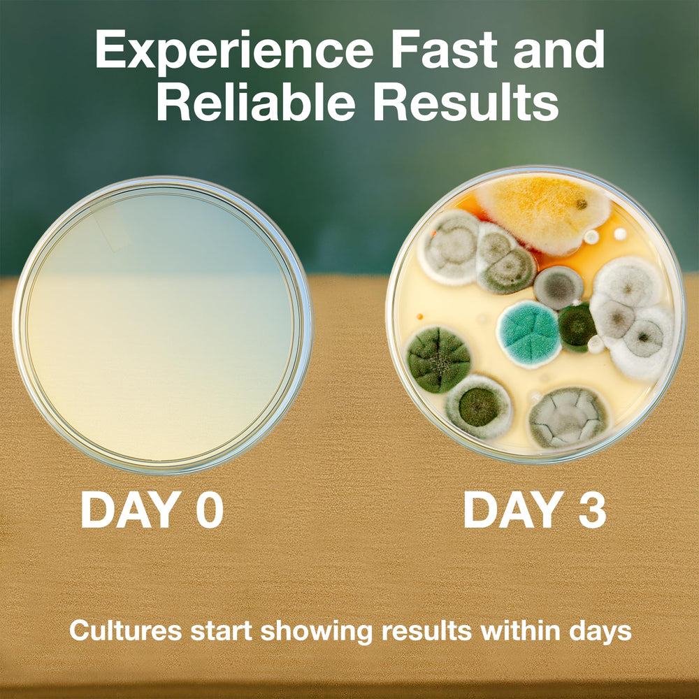 Evviva Sciences ready-to-use plates simplify setup for quick classroom activities