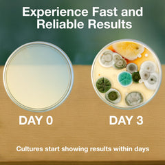 Evviva Sciences ready-to-use plates simplify setup for quick classroom activities