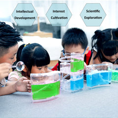 EXBEPE ant farm durable acrylic shell seen from outside for long lasting use.
