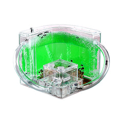 EXBEPE ant farm with green gel inside view for clear home science observation.