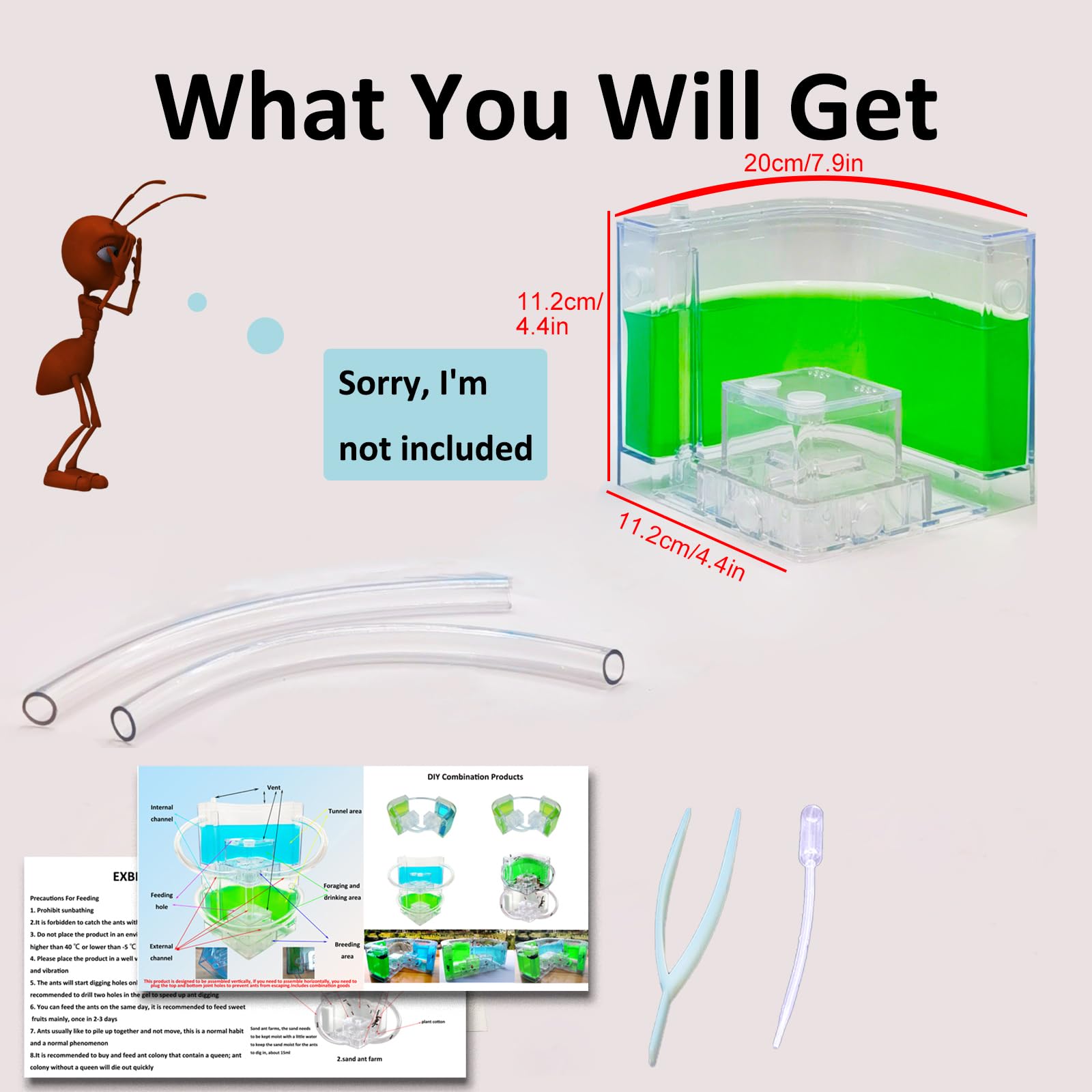 EXBEPE ant farm learning activity with curious kids enhancing observation and focus.