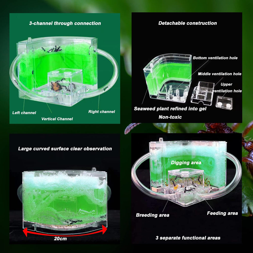 EXBEPE ant farm 6-vent system view enabling active ventilation and colony health.
