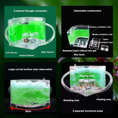 EXBEPE ant farm 6-vent system view enabling active ventilation and colony health.