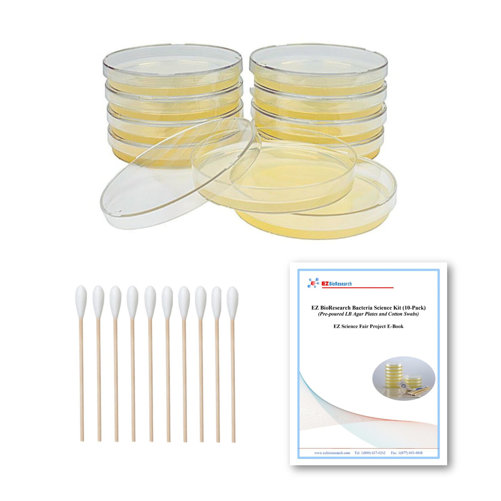 EZ BioResearch bacteria kit pre-poured LB-agar plates for quick classroom experiments
