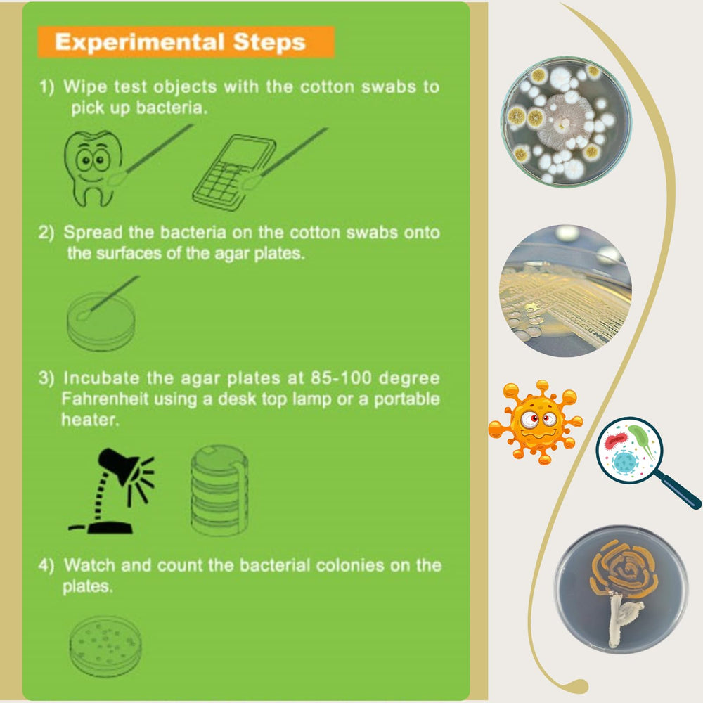 EZ BioResearch free science fair e-book with guided experiments