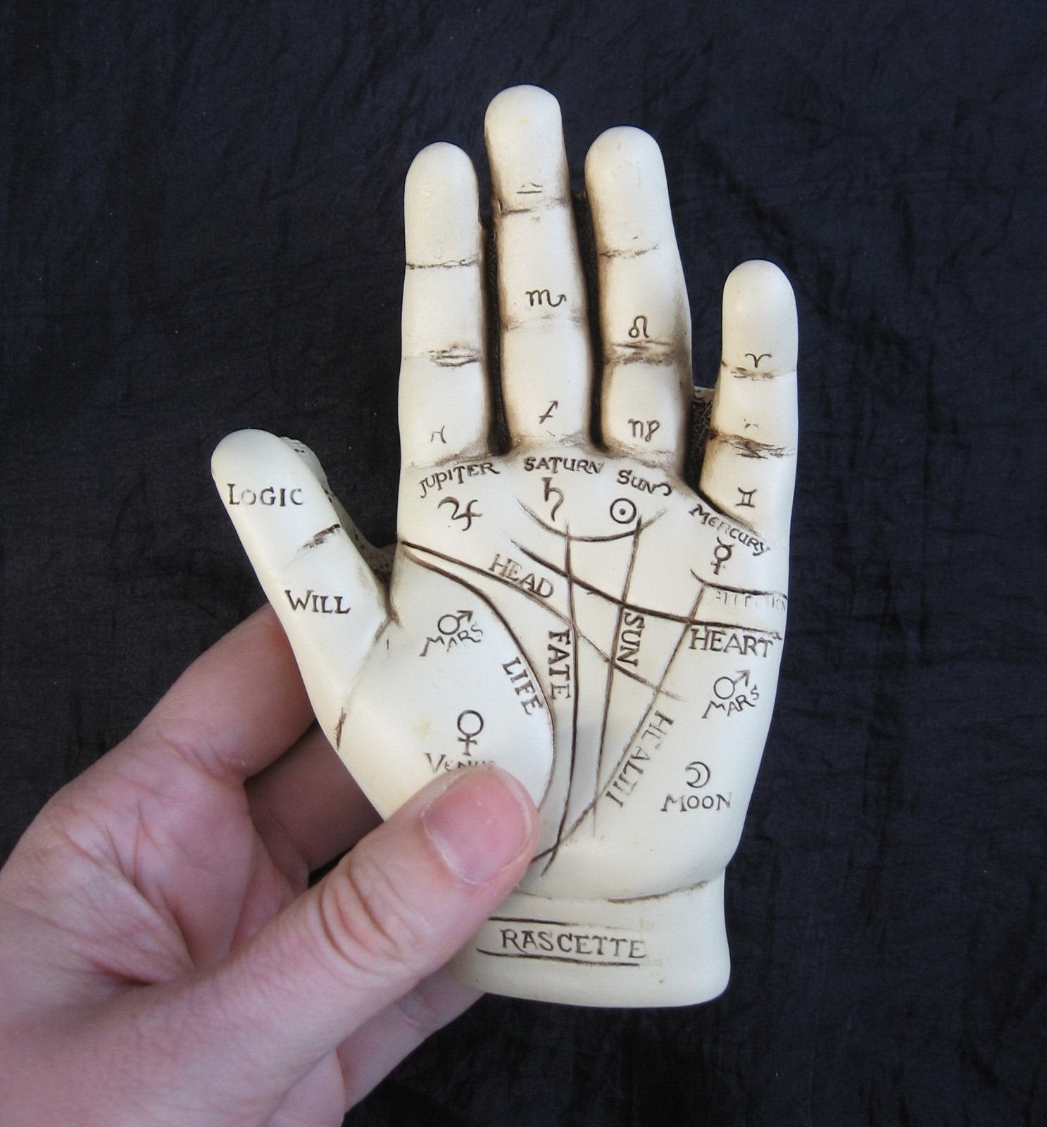 Fantasy Gifts compact palmistry kit; 5-inch hand model for on-the-go learning