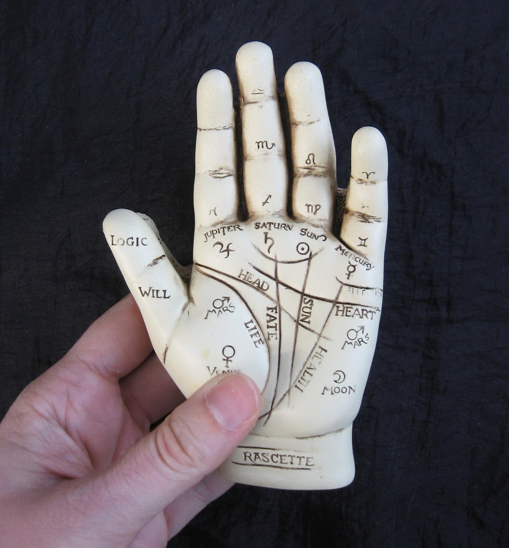 Fantasy Gifts compact palmistry kit; 5-inch hand model for on-the-go learning