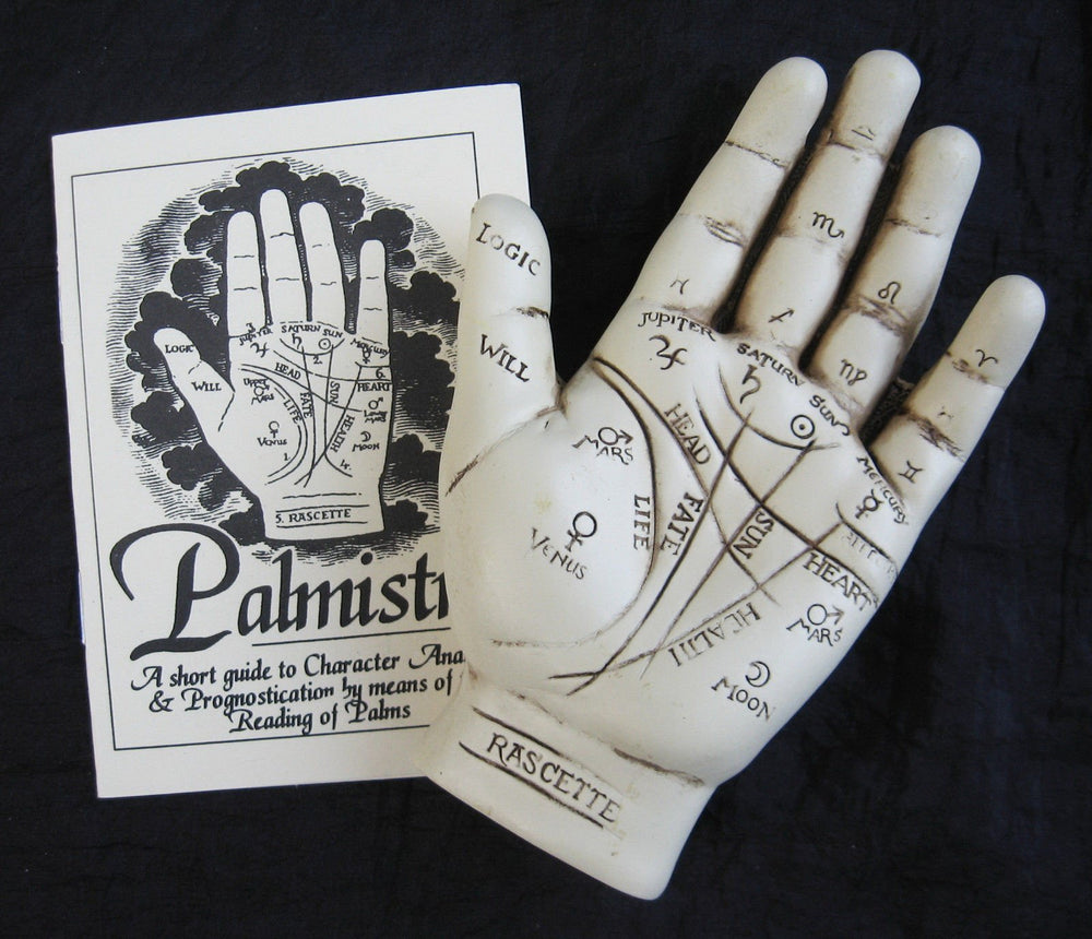 Fantasy Gifts palmistry hand model with booklet guide for learning