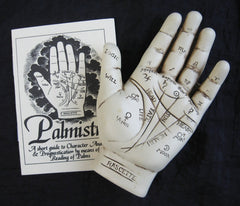 Fantasy Gifts palmistry hand model with booklet guide for learning