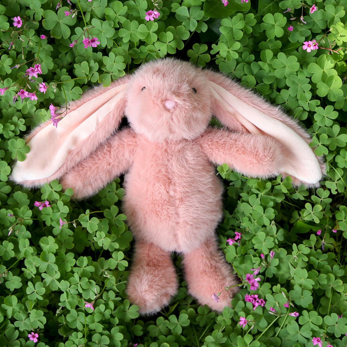 Farnesaa weighted bunny close-up face looks inviting