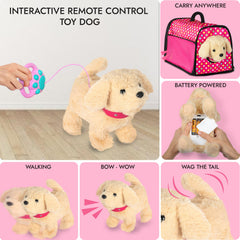 Fash N Kolor Puppy Doll Stroller food, bone, and ball play items