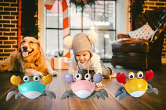 FEELGUY dancing crab toy with lights invites crawling exploration.