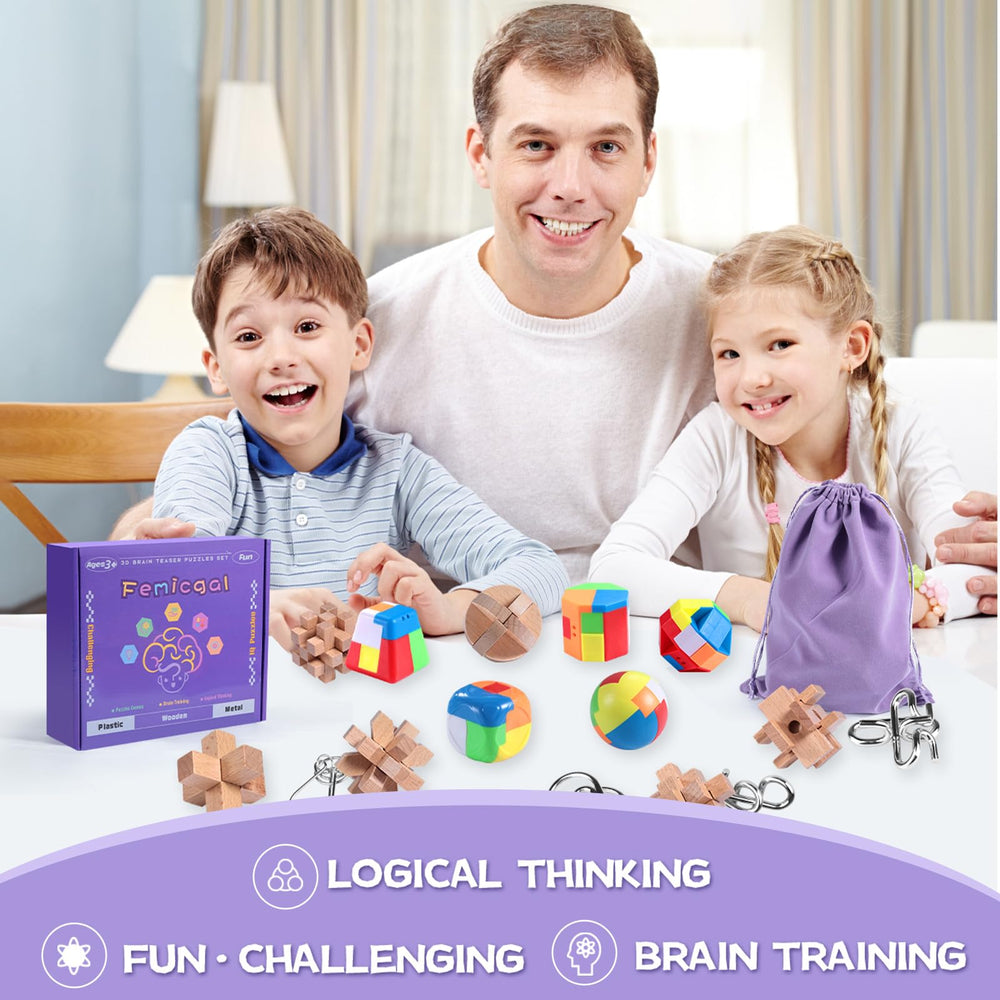 Femicgal Brain Teaser metal puzzles 6-pack provides sturdy, tactile problem-solving sessions.