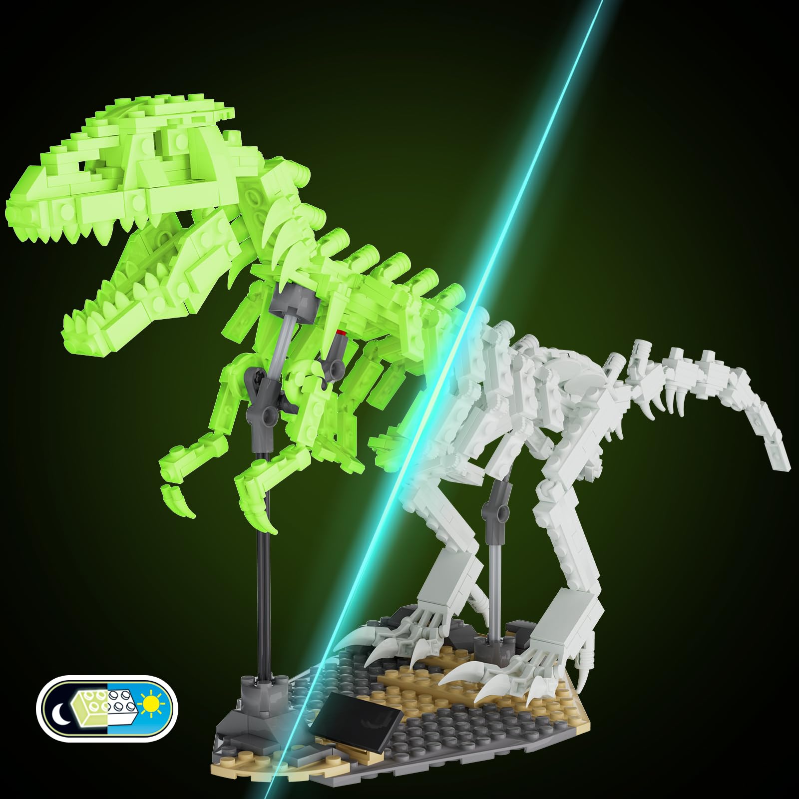 FERURE Tyrannosaurus skeleton bracket assembly enables poseable display.