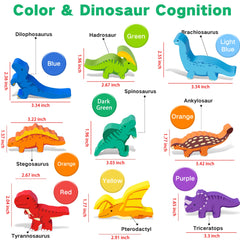 FFTROC dinosaur toys support cooperative play among kids and families.