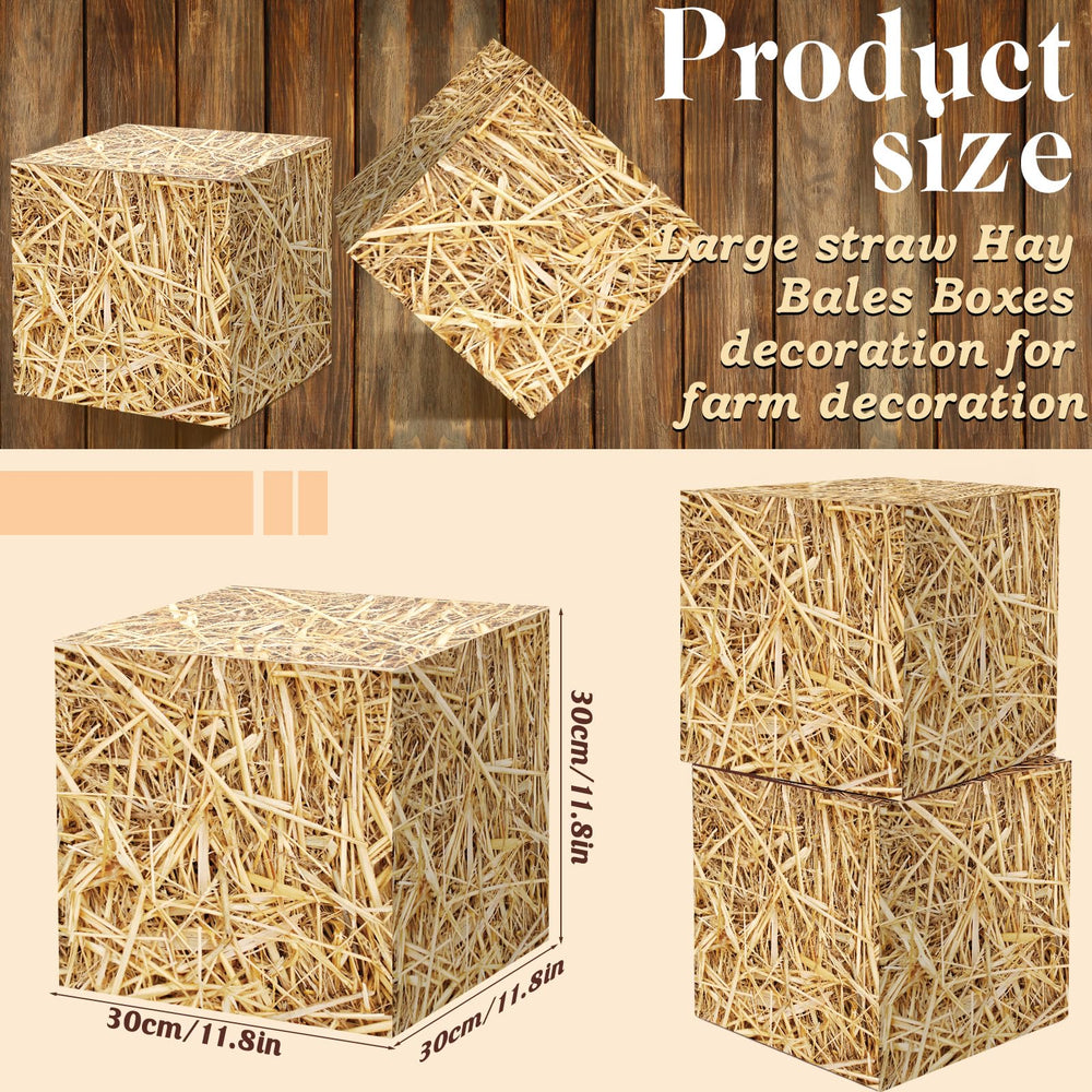 Fjoron cowboy theme box setup adds a playful focal point for parties.