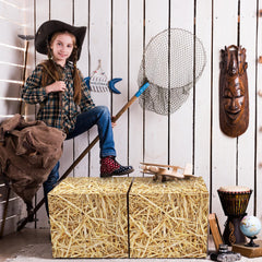 Fjoron rustic farmhouse party props enhance photo backdrops and favors.