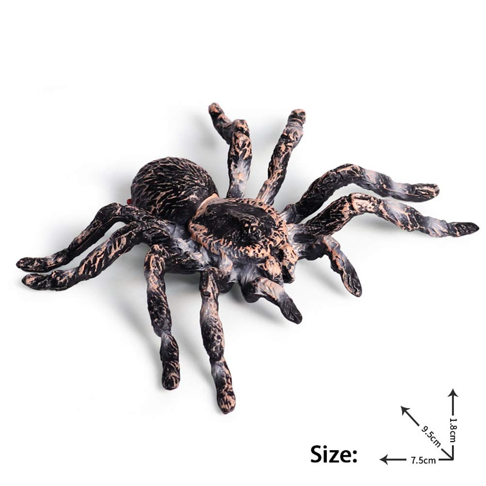 FLORMOON Giant Whiteknee spider face detail highlights kid-friendly features for storytelling.