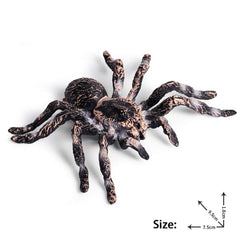 FLORMOON Giant Whiteknee spider face detail highlights kid-friendly features for storytelling.