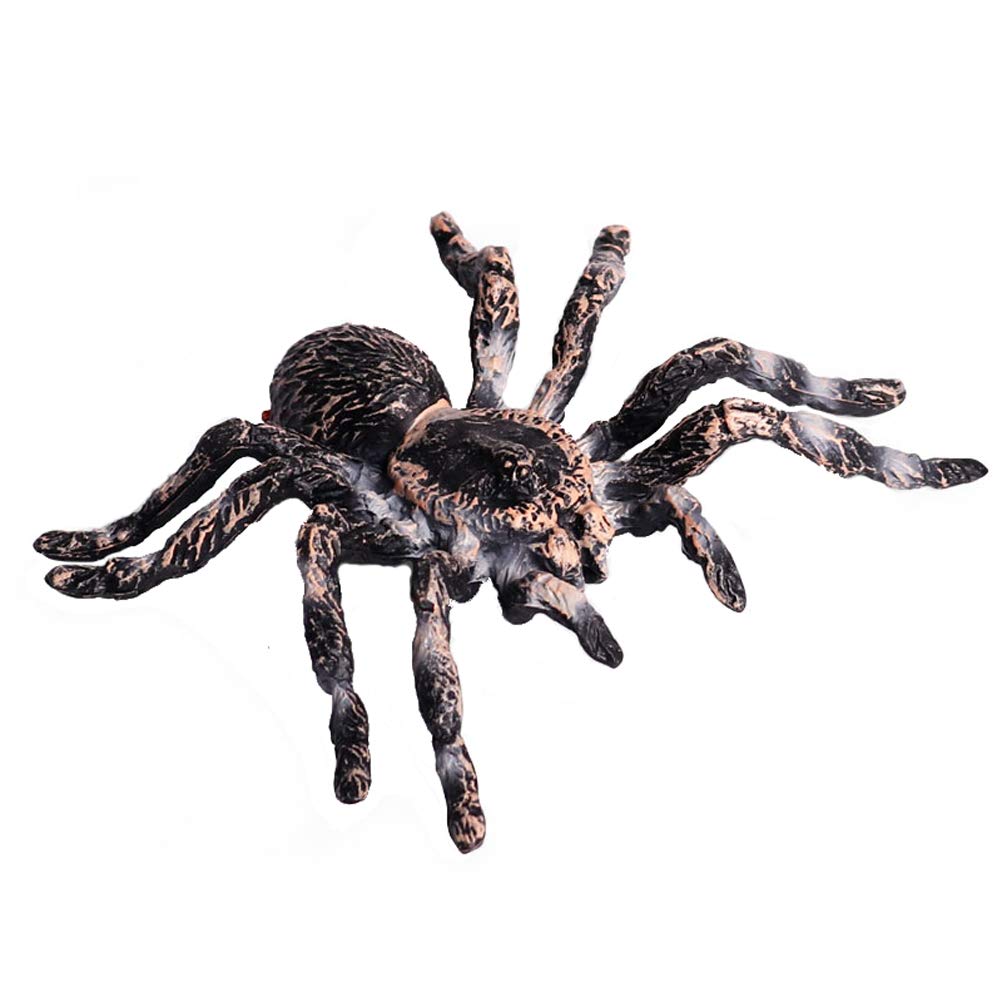 FLORMOON Giant Whiteknee spider front view for classroom display and imaginative play.