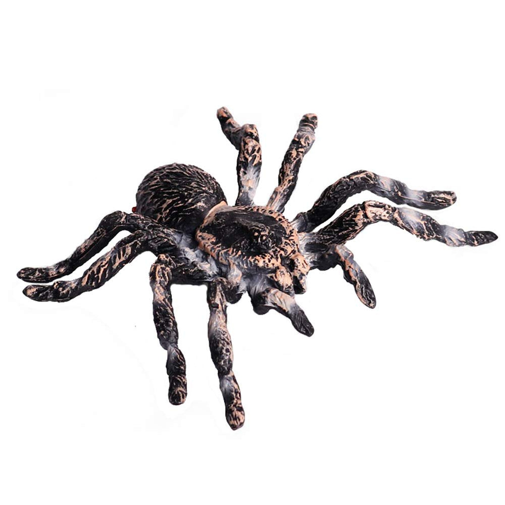 FLORMOON Giant Whiteknee spider front view for classroom display and imaginative play.