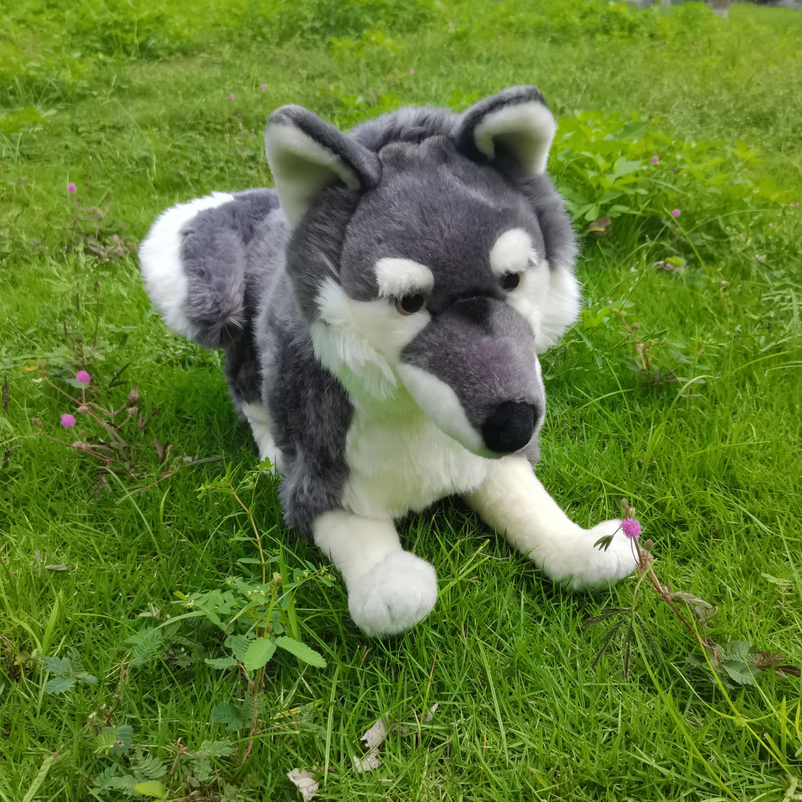 FLUFFYFUN Realistic Wolf Dog eyes closeup expresses warmth and companionship.