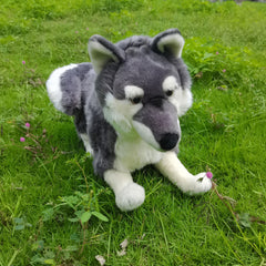 FLUFFYFUN Realistic Wolf Dog eyes closeup expresses warmth and companionship.