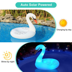 FlyfreeU solar LED lights color-change to enhance evening pool vibes.