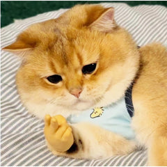 fnqiank mini hands for cats – fist hand adds silly moments during performances