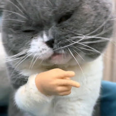 fnqiank mini hands for cats – middle hand sparks playful drama in puppet shows