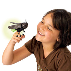 Gift-ready packaging display featuring Folkmanis Firefly puppet.