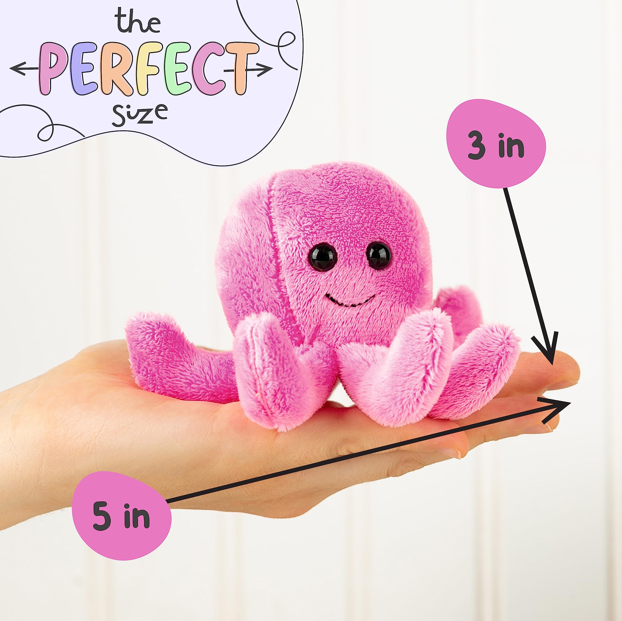 Forest & Twelfth octopus classroom prize inspires smiles and rewards.