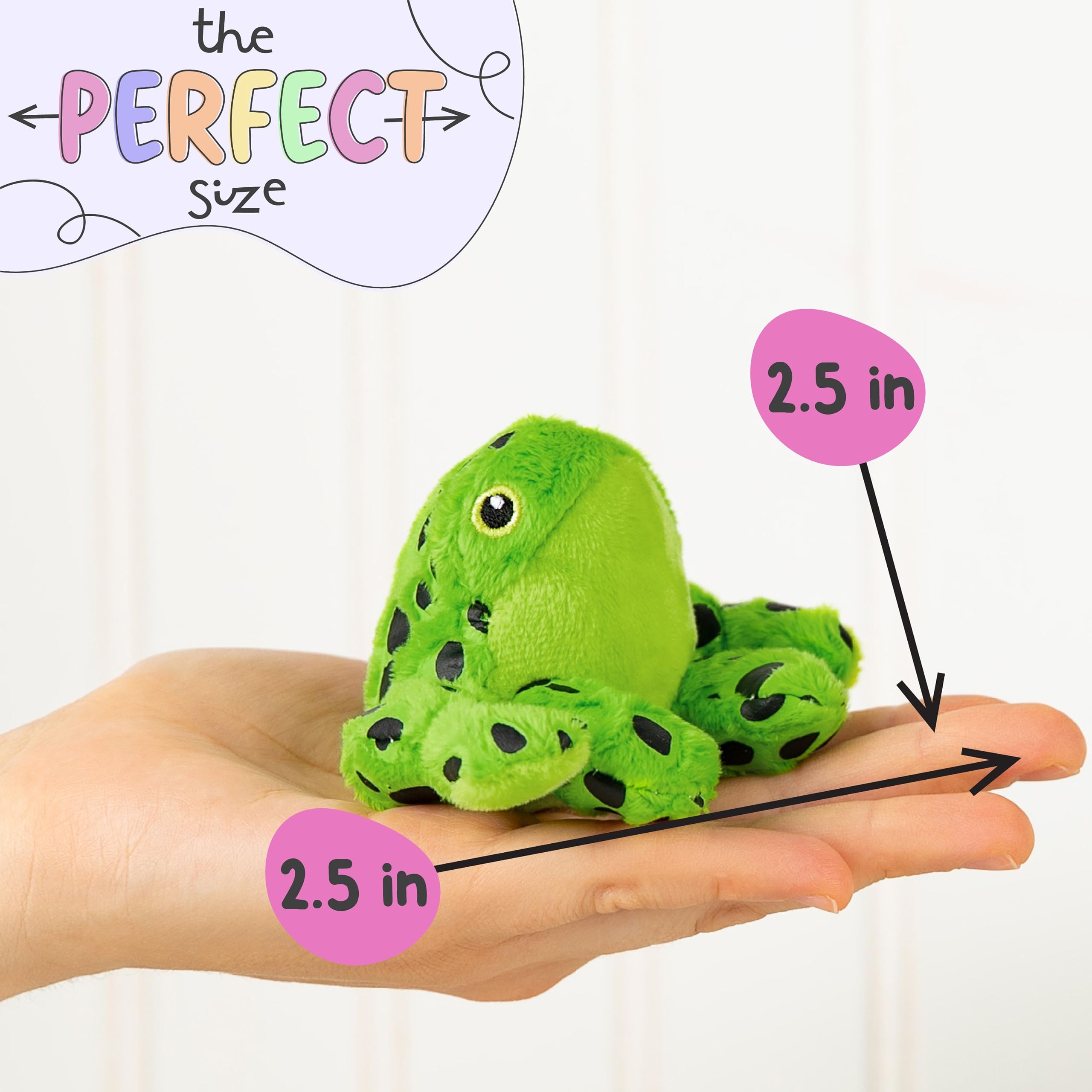 Forest & Twelfth mini frog featured as a classroom prize