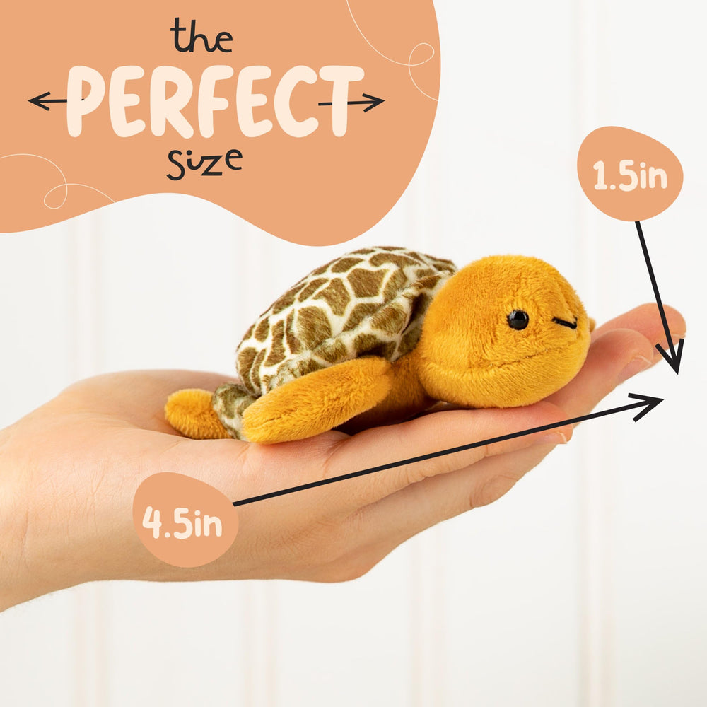 Forest & Twelfth tortoise classroom prizes encourage gentle play and sharing.