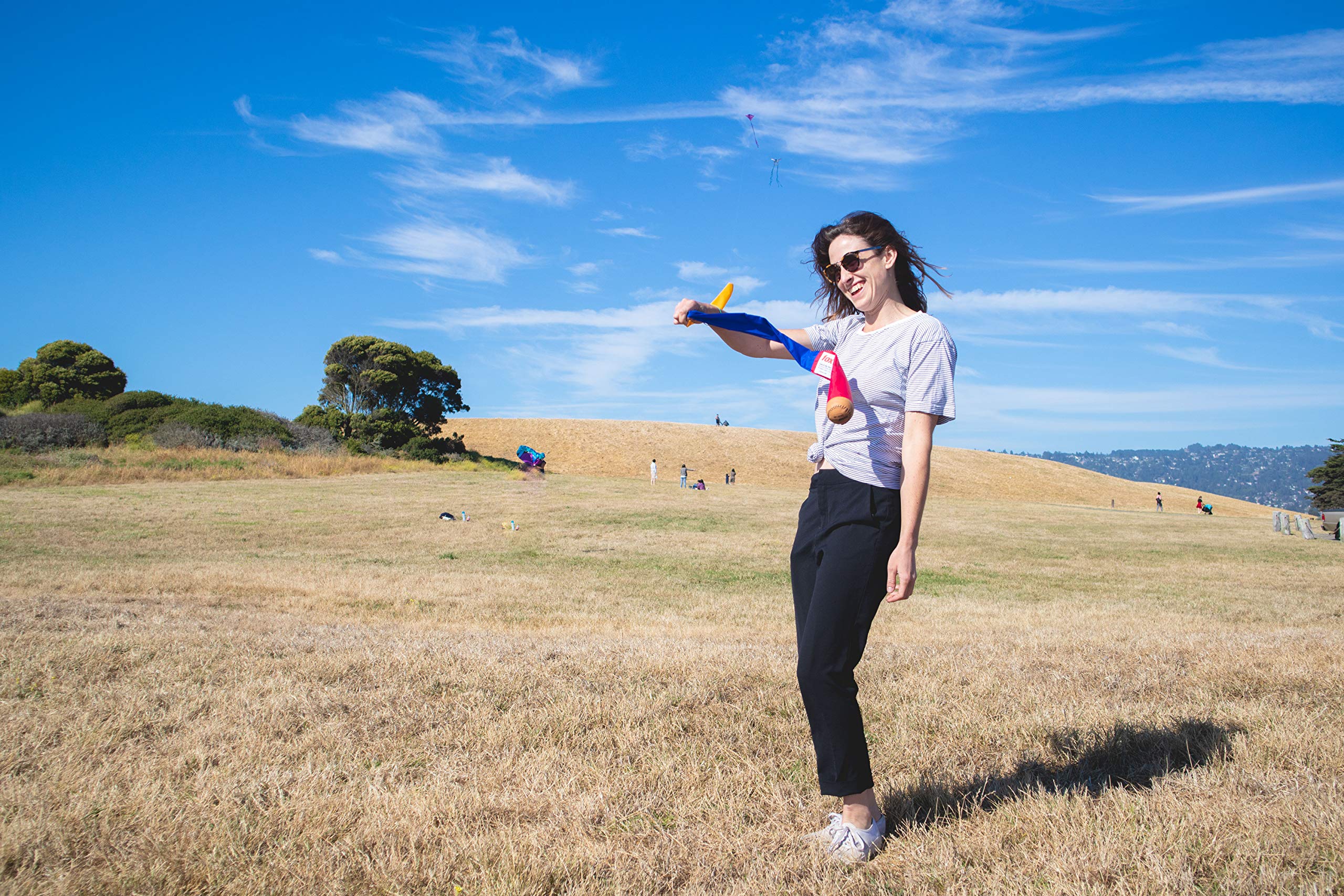 Foxtail Sport is suitable for ages 8 and up for family play.