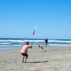 Foxtail Sport in flight, tail spinning for impressive distance with light effort.