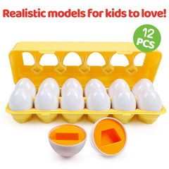 FQKIOMY eggs toy demonstrating hand-eye coordination during matching