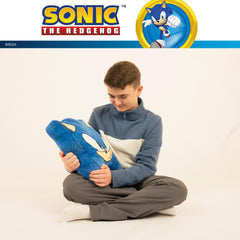 Franco Sonic pillow styled as a decorative, decor-ready accent piece.