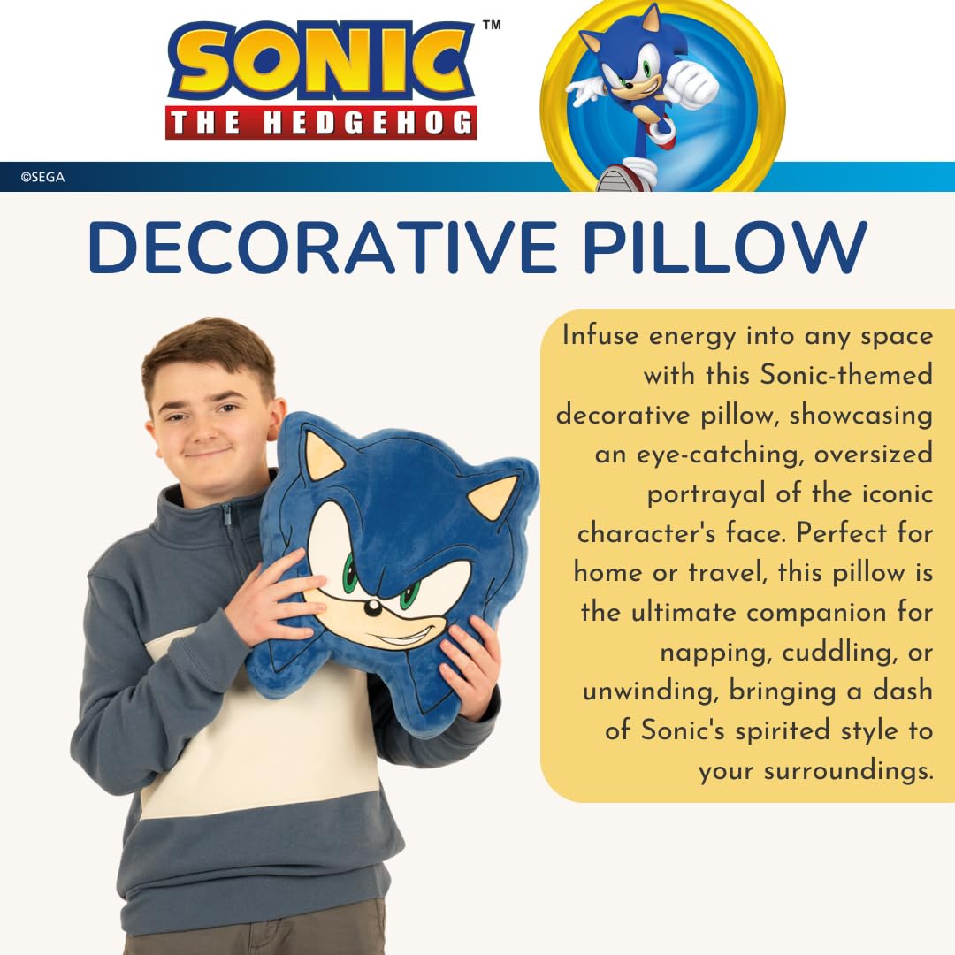 Close-up of Franco Sonic embroidery detail on the pillow.