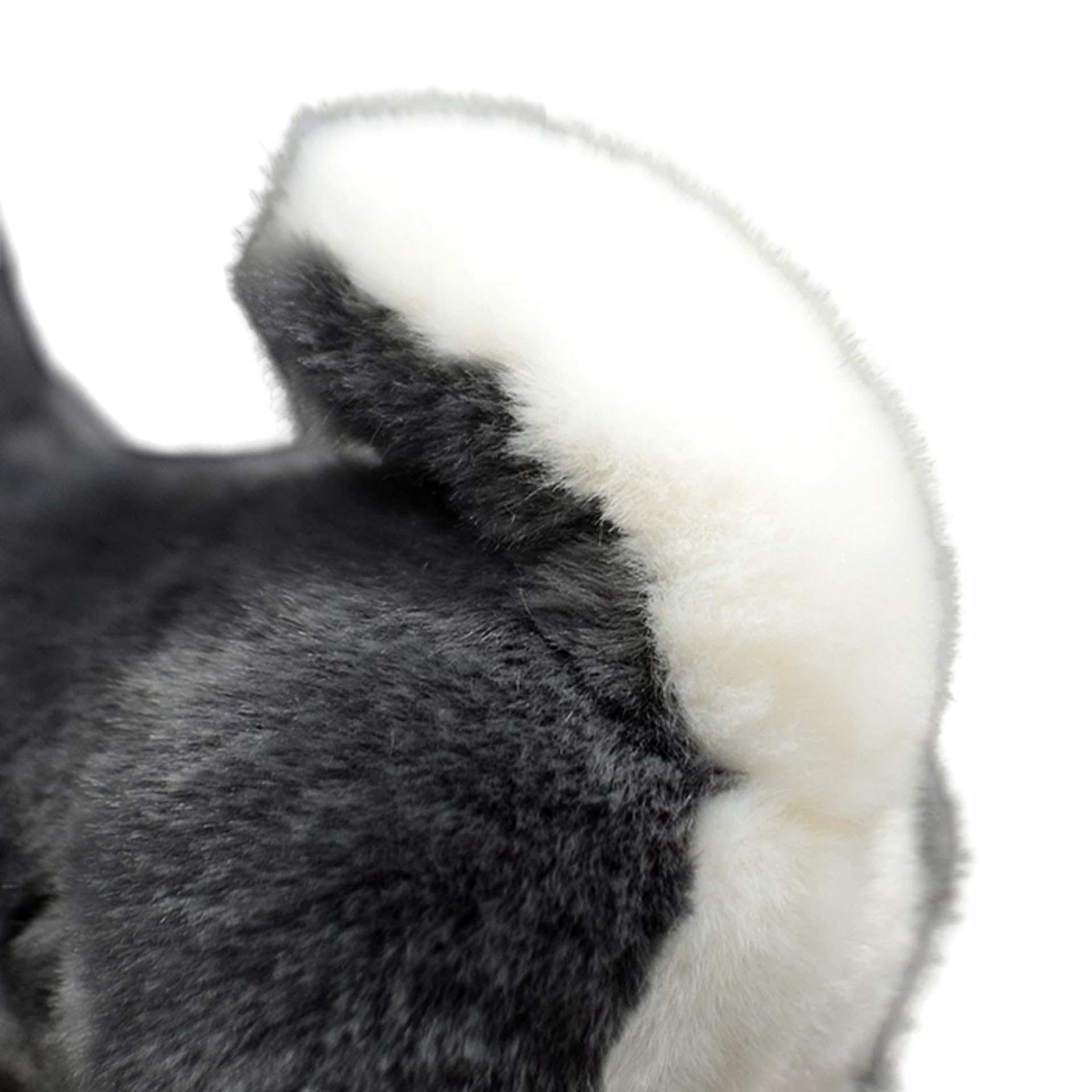 FRANKIEZHOU husky plush gift-ready, perfect for kids and friends.