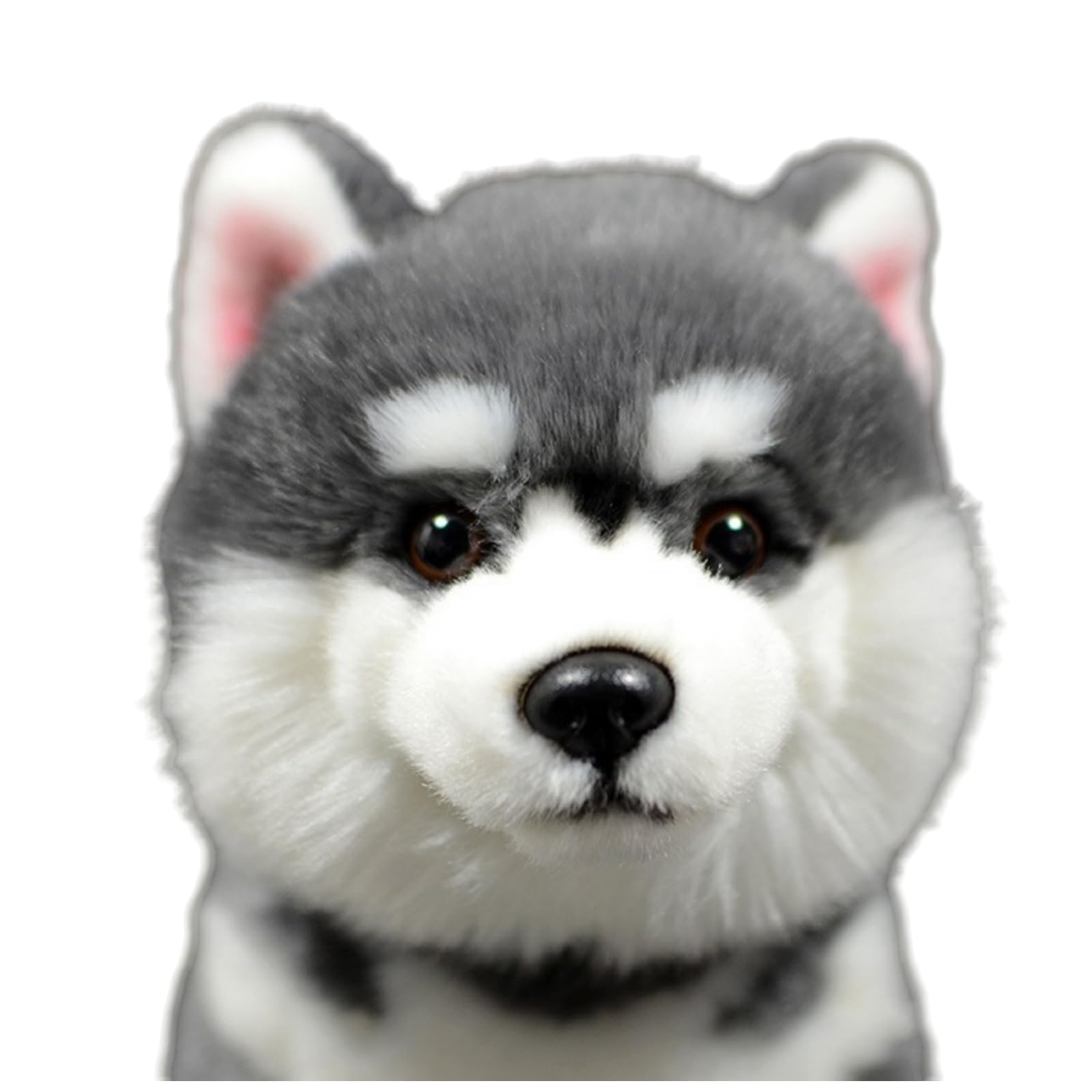 FRANKIEZHOU husky plush head-side angle emphasizing realistic features for imaginative play.