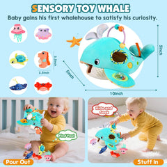 FREYBLI Ocean Adventure Whale belly view, peek inside and fill play.