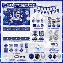 FrozzlyFun 16th birthday banner adds a crisp blue-silver focal point.