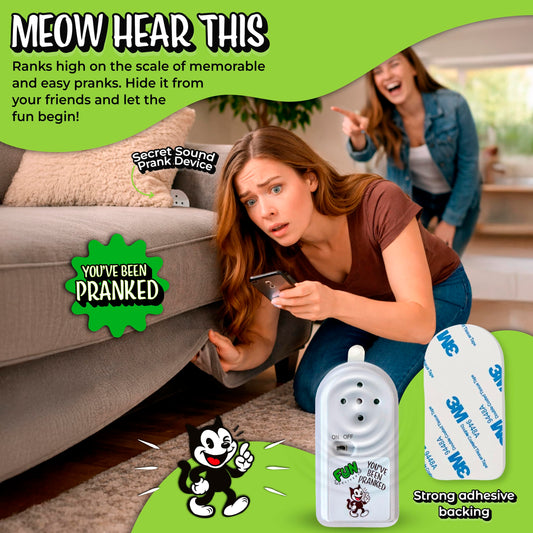 FUN delivery Meow Hear This hidden-cat-prank-device displayed behind furniture for surprising coworkers.