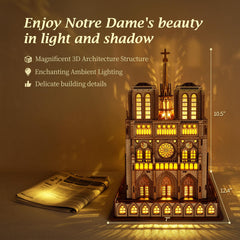 FUNPOLA Notre Dame rose window detail showcases intricate stained-glass-inspired design