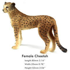 FUNSHOWCASE wildlife models close-up, sturdy non-hollow design for sandbox adventures.